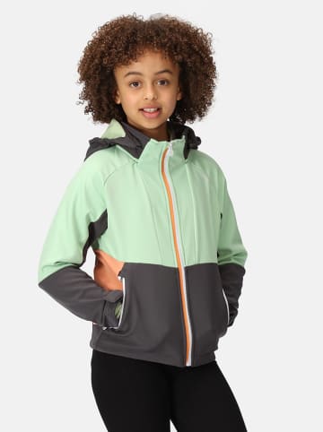 Regatta Softshelljacke "Haydenbury" in Türkis/ Grau