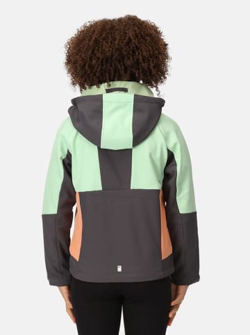 Regatta Softshelljacke "Haydenbury" in Türkis/ Grau