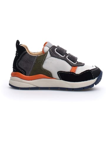 Naturino Leren sneakers "Funnvibe" meerkleurig