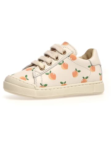 Naturino Leder-Sneakers "Eindhoven" in Creme