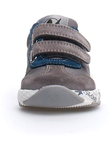 Naturino Sneakers "Jesko" in Grau/ Hellblau