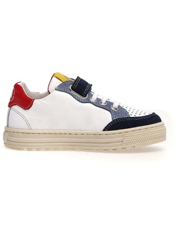 Naturino Sneakers "Auriel" in Weiß/ Bunt