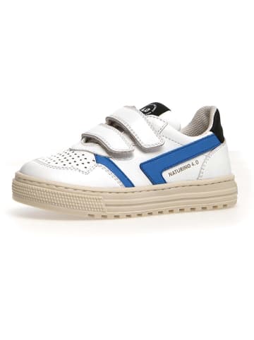 Naturino Leder-Sneakers "Ceonia" in Weiß