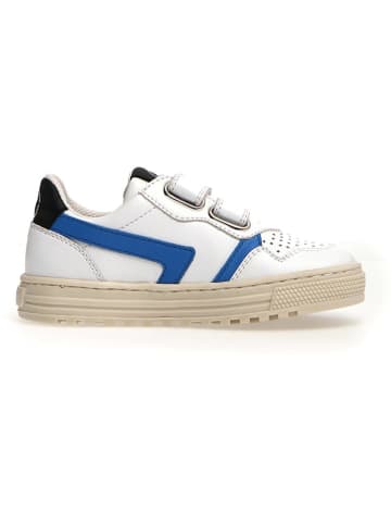 Naturino Leren sneakers "Ceonia" wit
