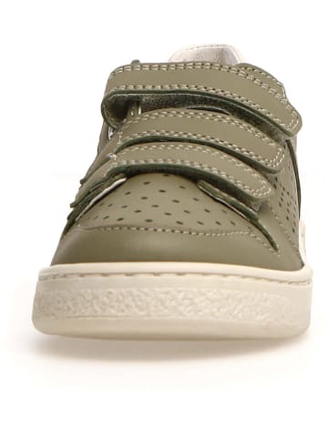 Naturino Skórzane sneakersy "Theral" w kolorze khaki