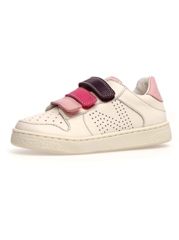 Naturino Leder-Sneakers "Theral" in Creme
