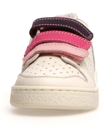 Naturino Leder-Sneakers "Theral" in Creme