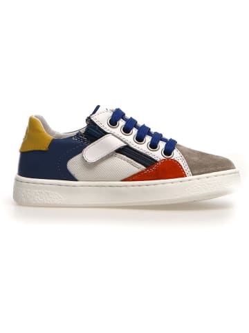 Naturino Sneakers "Quar" meerkleurig