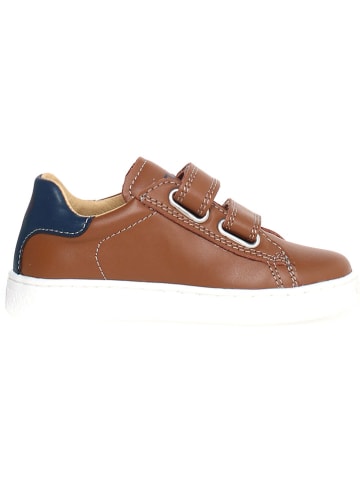 Naturino Leder-Sneakers "Hasselt" in Braun