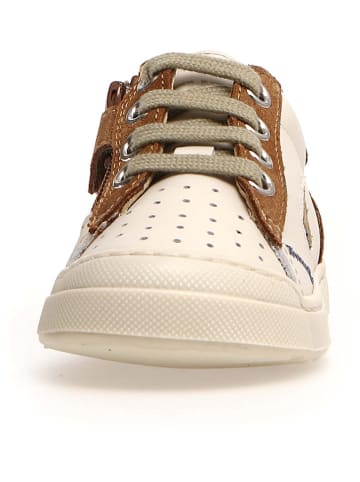 Naturino Leren sneakers "Faluk" crÃ¨me/bruin