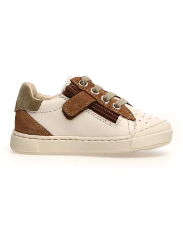 Naturino Leren sneakers "Faluk" crÃ¨me/bruin