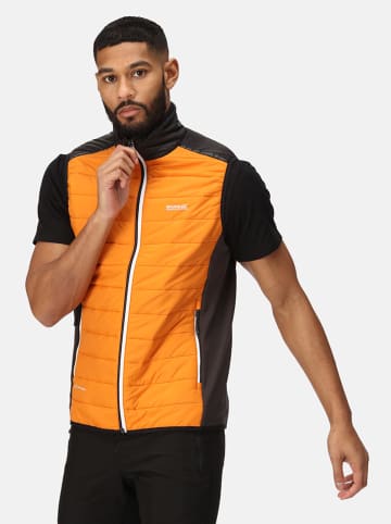 Regatta Funktionsweste "Halton VII Baffle" in Orange