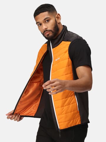 Regatta Funktionsweste "Halton VII Baffle" in Orange
