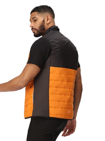 Regatta Funktionsweste "Halton VII Baffle" in Orange
