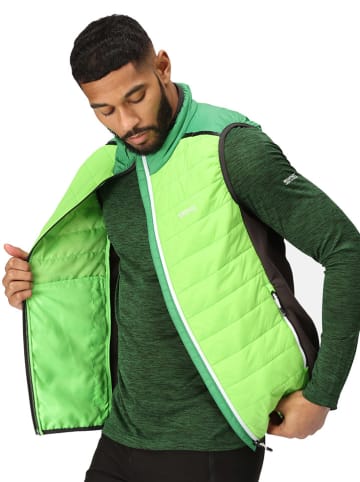 Regatta Functionele bodywarmer "Halton VII Baffle" groen