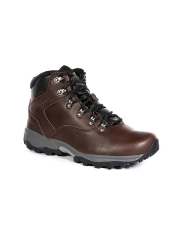 Regatta Leren wandelboots "Bainsford" bruin