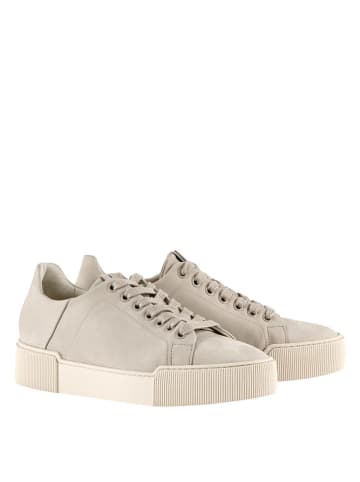 Högl Sneakers "Blade" in Taupe