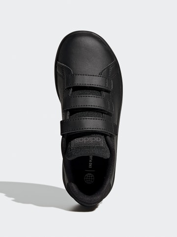 adidas Sneakers "Advantage" in Schwarz