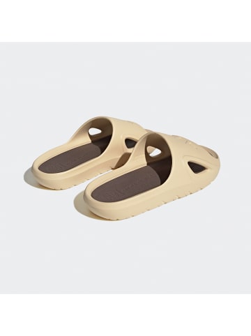 adidas Slippers "Adicane" beige