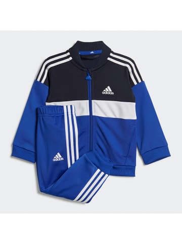 adidas Trainingsanzug in Blau/ Weiß/ Schwarz