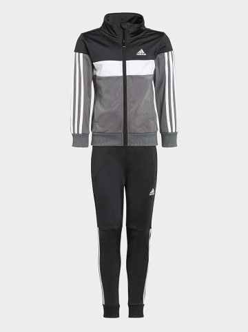 adidas 2tlg. Outfit: Trainingsanzug in Schwarz/ Anthrazit