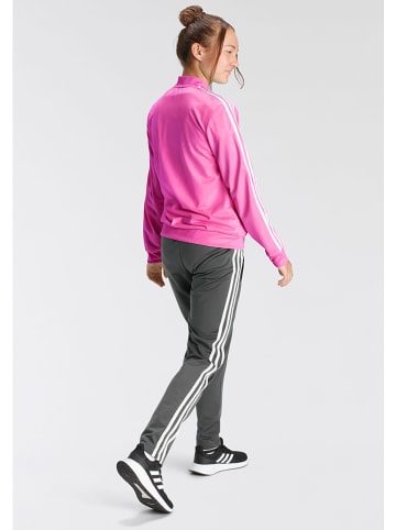 adidas 2tlg. Outfit: Trainingsanzug in Pink/ Anthrazit