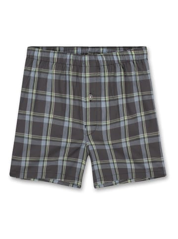 Sanetta Boxershorts in Anthrazit/ Blau/ Grün