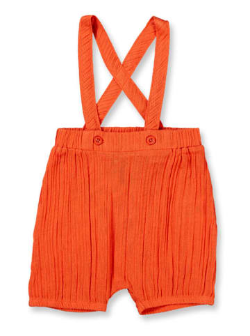 Sense Organics Short "Naki" rood