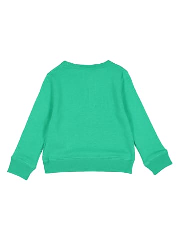 GAP Bluza w kolorze zielonym