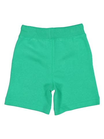 GAP Shorts in Grün