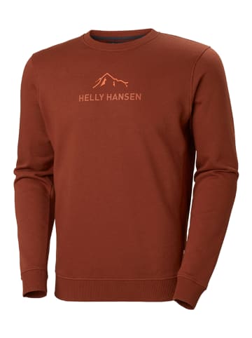 Helly Hansen Sweatshirt "F2F" in Hellbraun