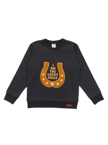Walkiddy Sweatshirt "Shire Horses" zwart