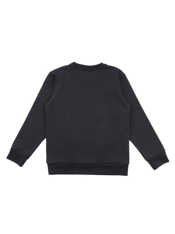 Walkiddy Sweatshirt "Shire Horses" zwart
