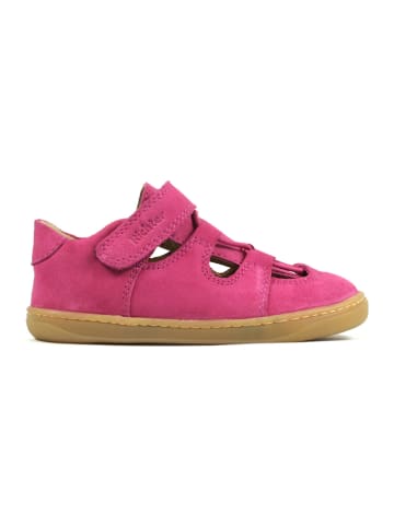 Richter Shoes Leder-Barfußschuhe in Pink