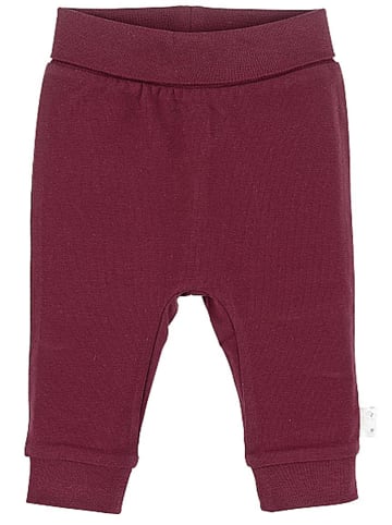 Sterntaler Sweatbroek bordeaux