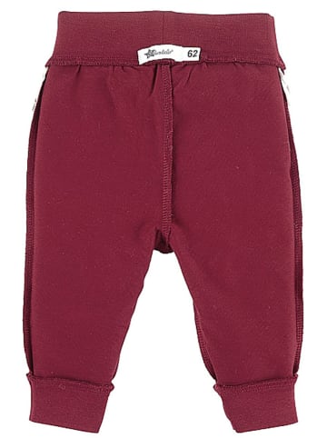 Sterntaler Sweatbroek bordeaux