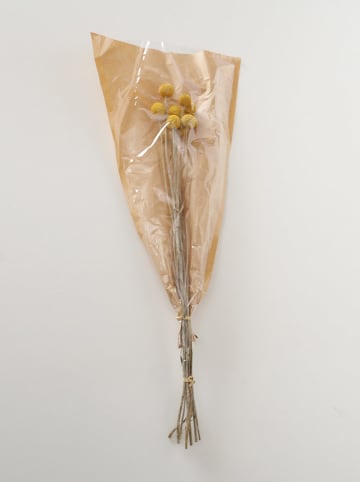 Boltze Decoratieve tak "Merina" geel - (H)45 cm