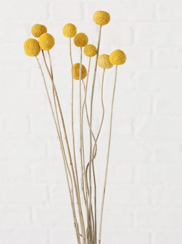 Boltze Gałązka dekoracyjna "Merina" w kolorze żółtym - wys. 45 cm