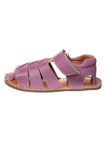 lamino Leder-Barfußsandalen in Lila