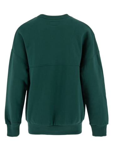 Converse Sweatshirt in Grün