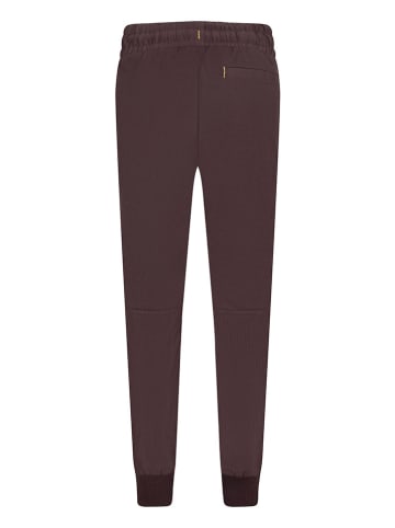 Converse Spodnie dresowe w kolorze brązowym