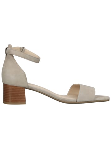 Ara Shoes Leder-Sandaletten in Beige