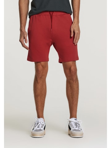 SHIWI Sweatshort bordeaux