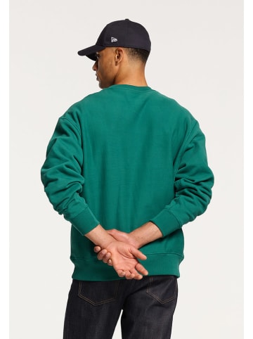 SHIWI Sweatshirt groen