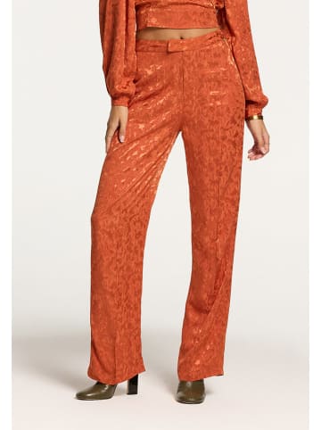 SHIWI Broek oranje