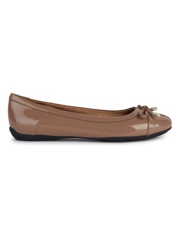 Geox Ballerinas "Charlene" in Hellbraun