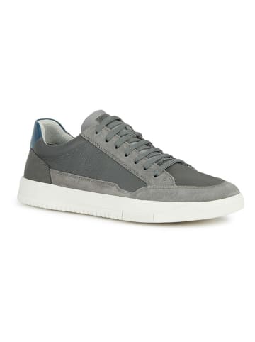 Geox Sneakers "Segnale" in Grau