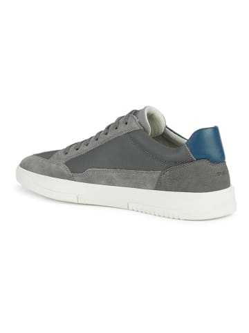 Geox Sneakers "Segnale" in Grau