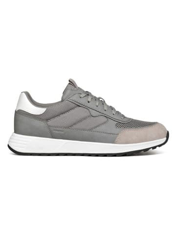Geox Sneakers "Molveno" in Grau