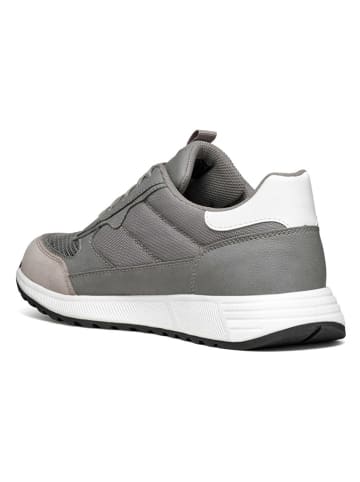 Geox Sneakers "Molveno" grijs